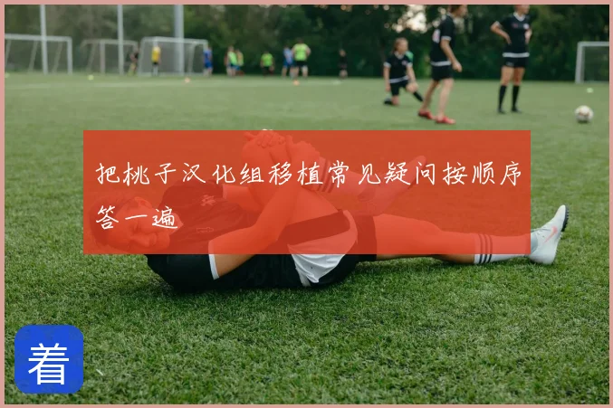 把桃子汉化组移植常见疑问按顺序答一遍