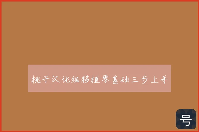 桃子汉化组移植零基础三步上手