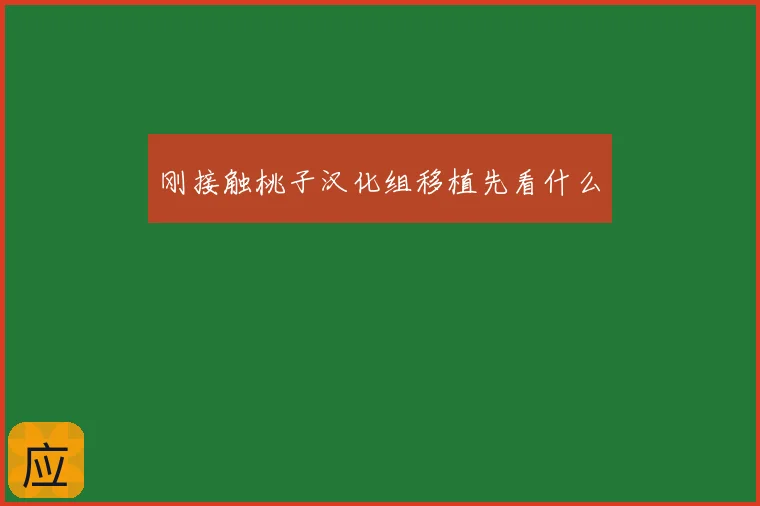 刚接触桃子汉化组移植先看什么